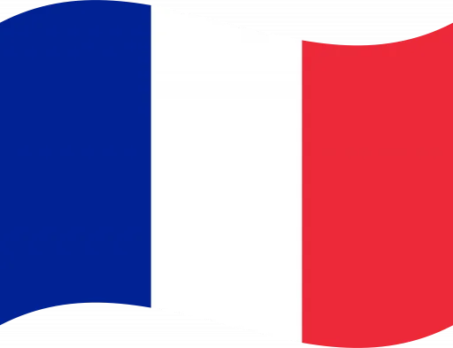 Flag_of_France_Flat_Wavy-512x393-1-1